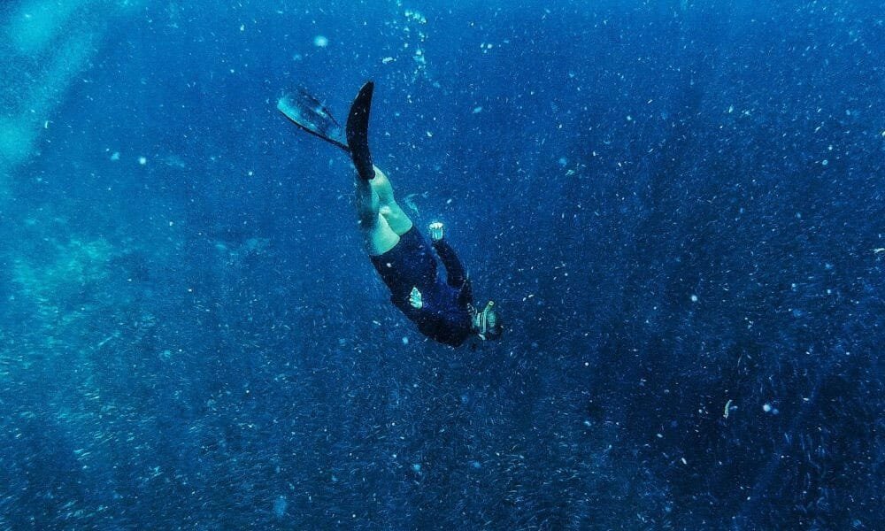 pescador island hopping